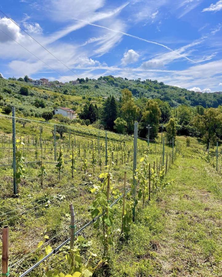 Aparthotel Donna Vittori - Borgo Agricolo à Paliano Extérieur photo