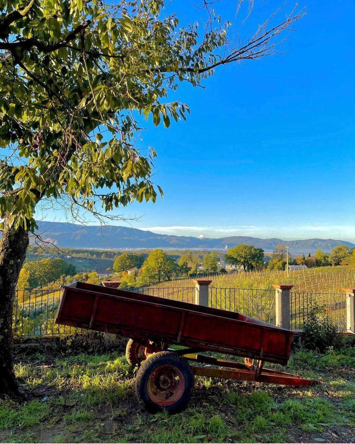 Aparthotel Donna Vittori - Borgo Agricolo à Paliano Extérieur photo